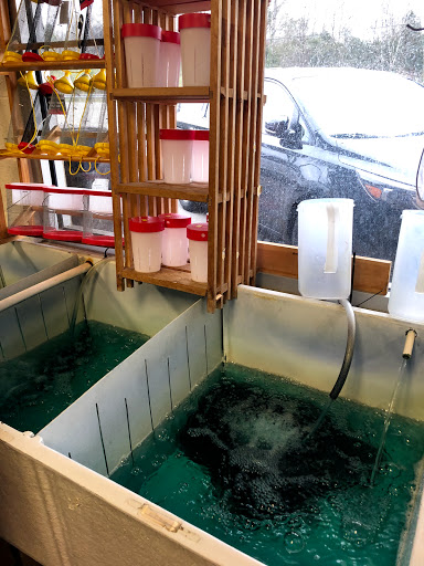 Outdoor Sports Store «C & C Outdoors», reviews and photos, 2940 Topside Rd, Louisville, TN 37777, USA