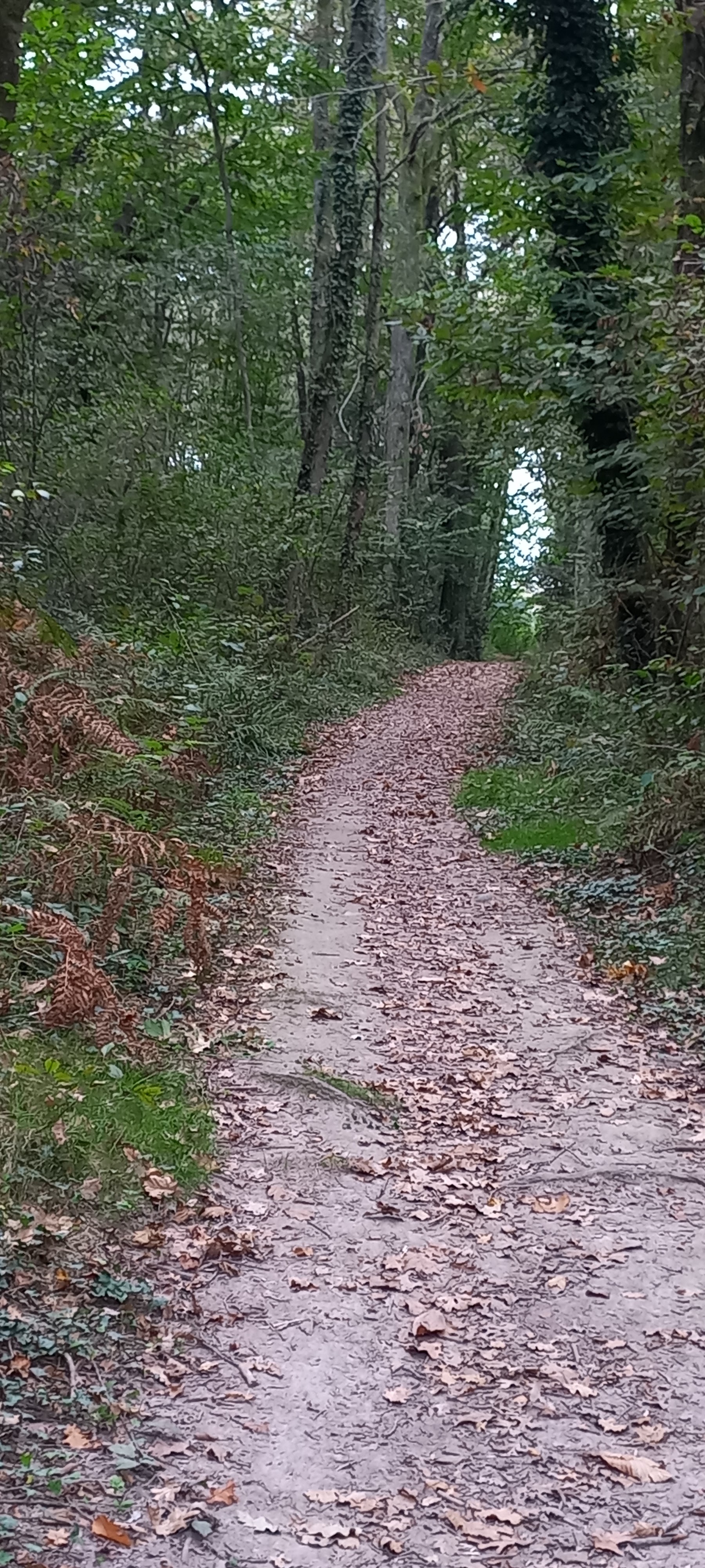Photo n° 1 de l'avis de Victoria.u fait le 21/10/2023 à 14:02