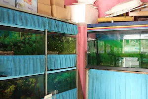 A-one Aquarium Shop image