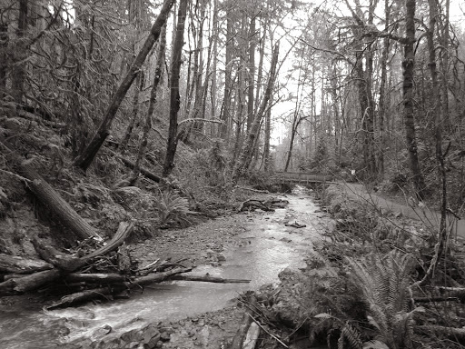 Park «Macleay Park», reviews and photos, NW 29th Ave & Upshur St, Portland, OR 97210, USA