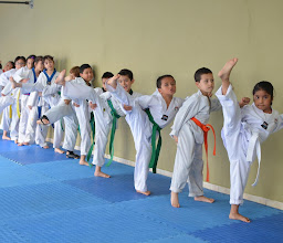Taekwondo Elite photo