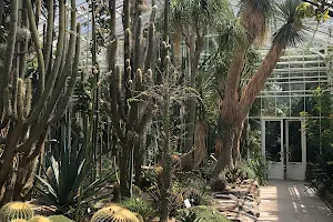 Gewächshäuser Im Botanischen Garten image