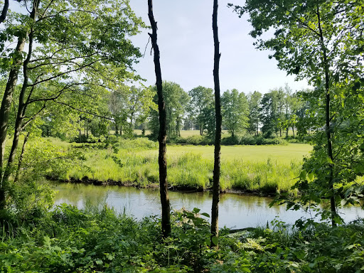 Golf Course «Pine View Golf Club», reviews and photos, Pulver Rd, Three Rivers, MI 49093, USA