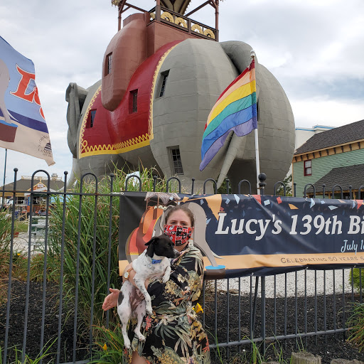 Historical Landmark «Lucy the Elephant», reviews and photos, 9200 Atlantic Ave, Margate City, NJ 08402, USA