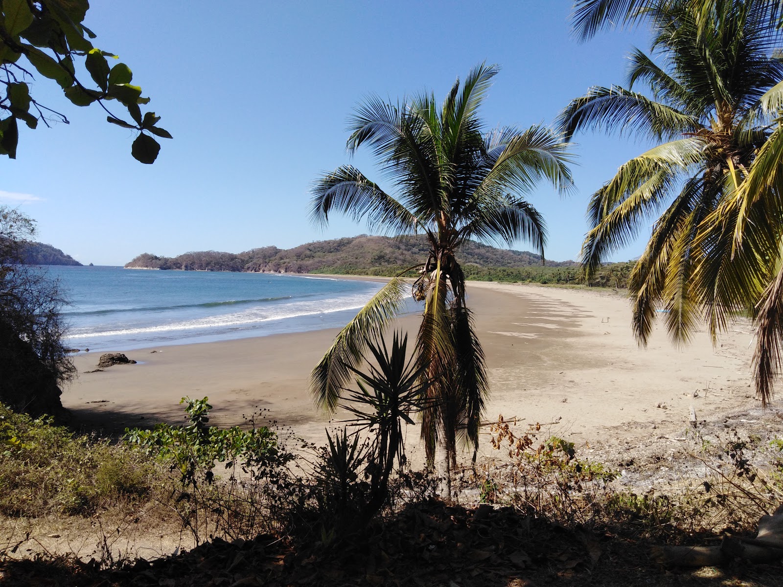 Los Organos beach'in fotoğrafı biraz temiz temizlik seviyesi ile
