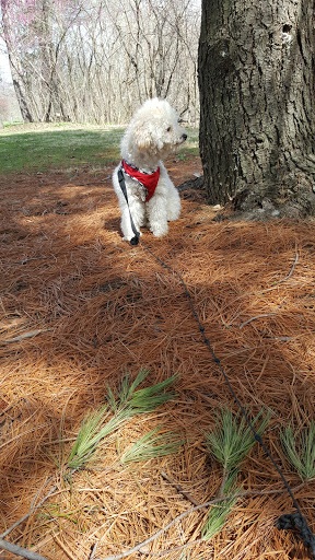 Park «Garfield Park», reviews and photos, 2505 Conservatory Dr, Indianapolis, IN 46203, USA