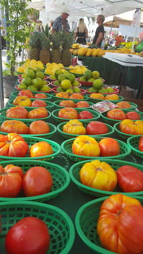 Marina «Fort Pierce City Marina», reviews and photos, 1 Avenue A, Fort Pierce, FL 34950, USA