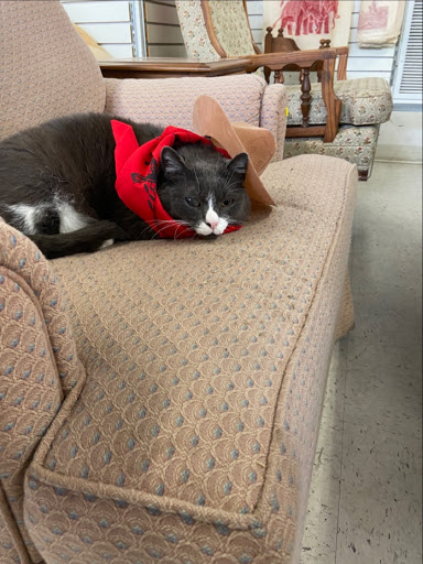 Thrift Store «William Temple House Thrift Store», reviews and photos, 2230 NW Glisan St, Portland, OR 97210, USA