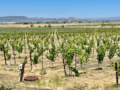 Vineyard «Jacuzzi Family Vineyards», reviews and photos, 24724 Arnold Dr, Sonoma, CA 95476, USA