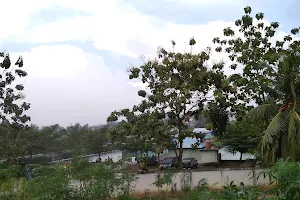 Fishing Ponds Teak image