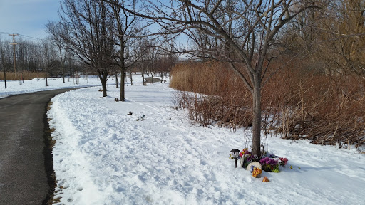 Two Mile Creek Greenway Trail