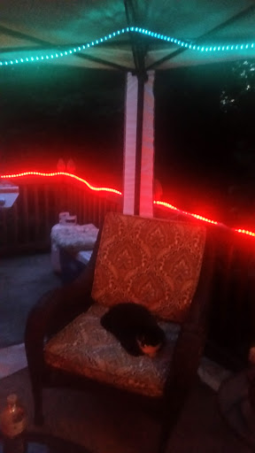 Department Store «Walmart Supercenter», reviews and photos, 6711 Alexandria Pike, Alexandria, KY 41001, USA