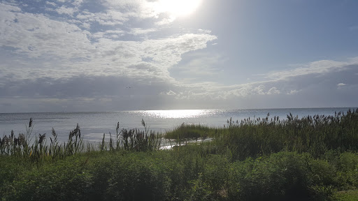 General Store «Cherrystone Resort Store», reviews and photos, 1357 Townfield Dr, Cape Charles, VA 23310, USA