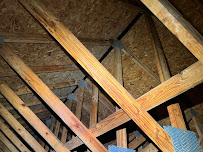 Premier Pest & Wildlife Control - Photo 4 - Car repair in Gainesville, FL, Gainesville