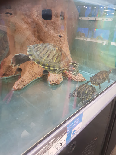 Pet Supply Store «Petco Animal Supplies», reviews and photos, 1824 E Katella Ave, Orange, CA 92867, USA