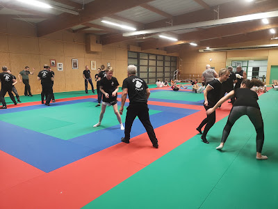 self defense system à Saint-Doulchard