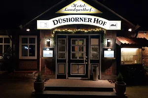 Restaurant Düshorner Hof image
