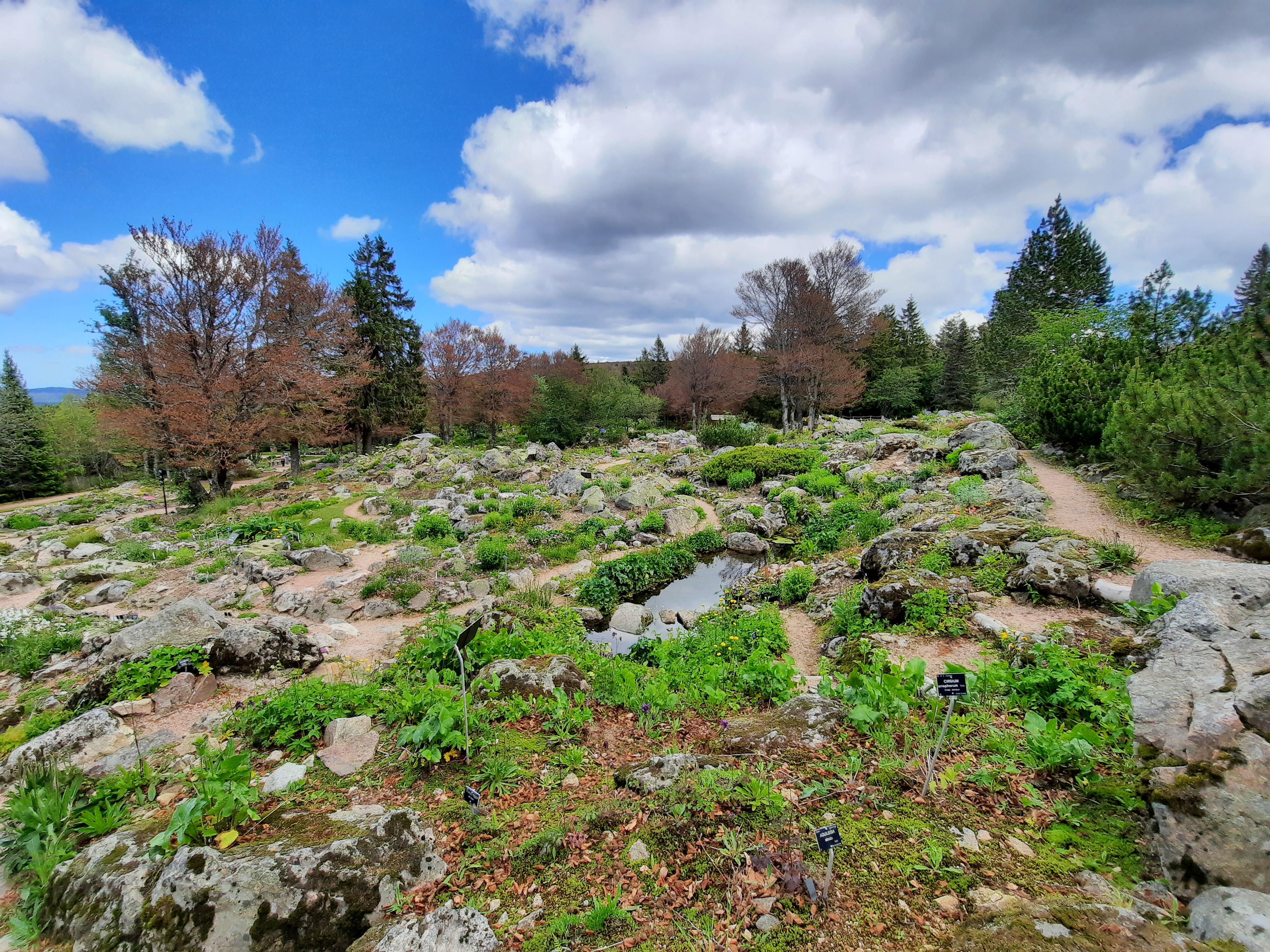 Photo n° 42 de l'avis de Victoria.e fait le 22/06/2020 à 21:37