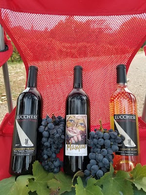 Lucchesi Vineyards & Winery - photo 25