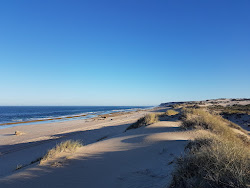 Zdjęcie Wagoe Beach z poziomem czystości wysoki