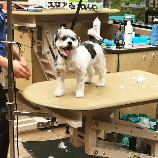 Pet Supply Store «PetSmart», reviews and photos, 916 Loganville Hwy, Bethlehem, GA 30620, USA