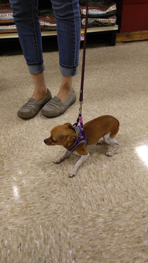 Pet Supply Store «PetSmart», reviews and photos, 144 Retail Commons Pkwy, Martinsburg, WV 25403, USA