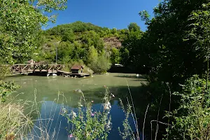 Centre de Fauna del Pont de Suert image