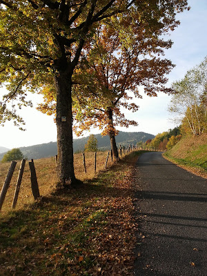 Societe de Tir de Moyenmoutier à Moyenmoutier