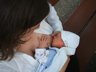 Online Breastfeeding Consultant