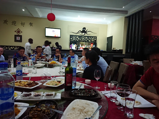Octopus, 21A Nza St, Independence Layout, Enugu, Nigeria, Chinese Restaurant, state Kaduna