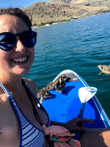 Skateboard Shop «LakeRider Sports», reviews and photos, 409 W Manson Hwy, Chelan, WA 98816, USA