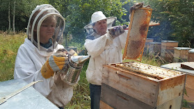 Prodej medu Včelař a Včelařka Rokycany