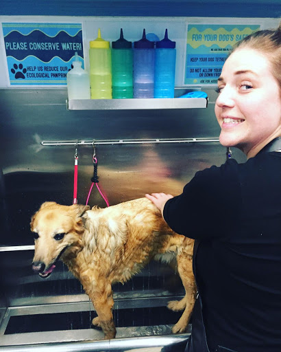 Pet Supply Store «Brookside Barkery & Bath», reviews and photos, 118 W 63rd St, Kansas City, MO 64113, USA