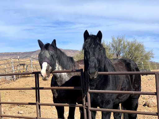Horseback Riding Service «Spur Cross Stables», reviews and photos, 44029 N Spur Cross Rd, Cave Creek, AZ 85331, USA