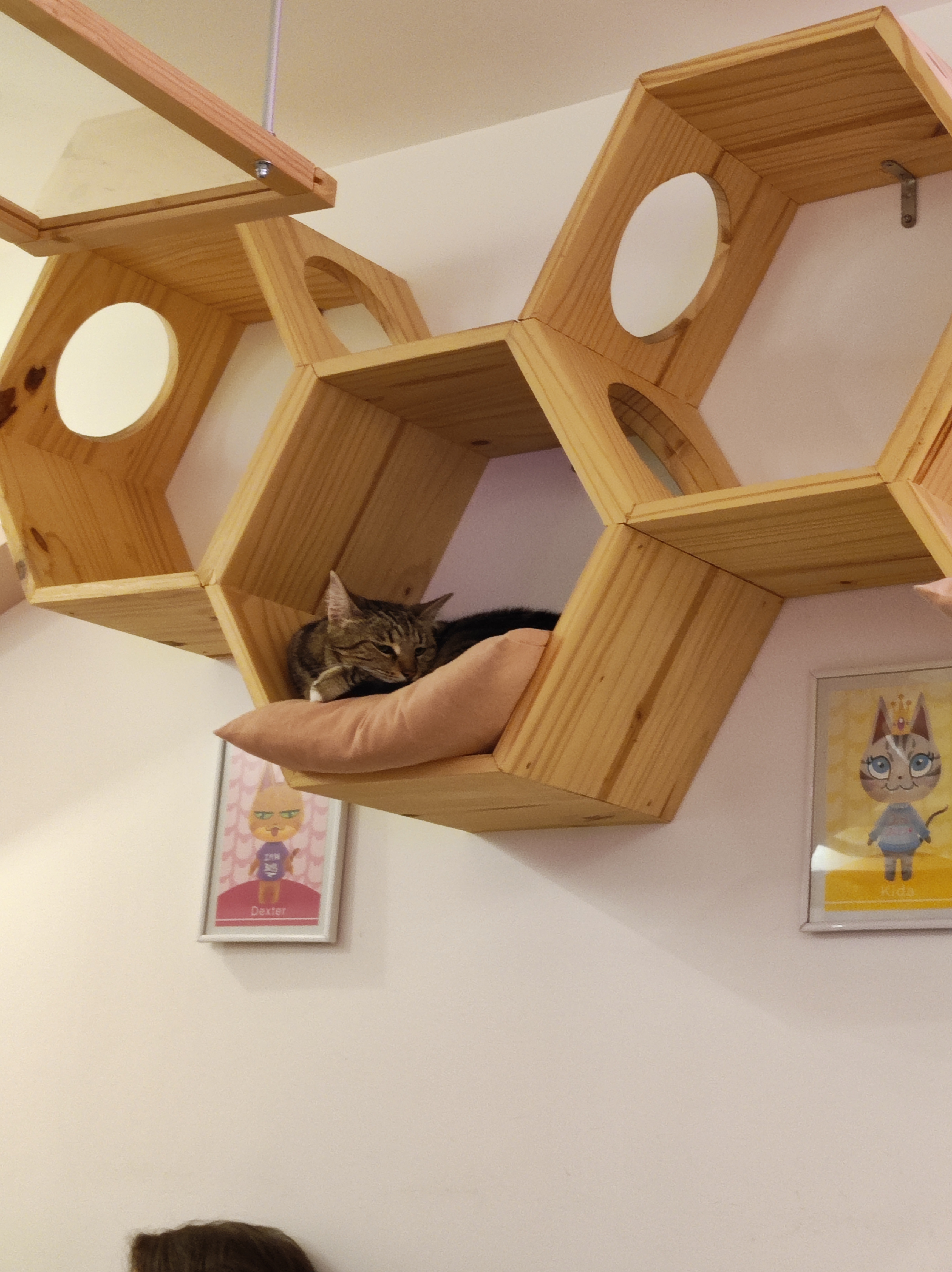Photo n° 1 de l'avis de Laurie.d fait le 16/11/2023 à 18:08
