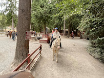 Healthitude Fitness & Nutritional Coaching - Photo 9 - Car repair in Burien, WA, Kent