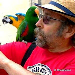 Photo n°1 de l'avis de Bernard.o fait le 18/11/2016 à 06:14 sur le  Caffè Sport à Armeno