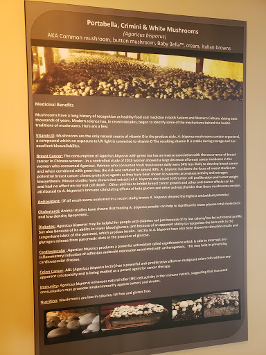 Produce Market «The Woodlands at Phillips», reviews and photos, 1020 Kaolin Rd, Kennett Square, PA 19348, USA