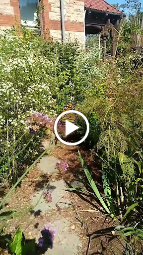 Historical Landmark «Harriet Beecher Stowe Center», reviews and photos, 77 Forest St, Hartford, CT 06105, USA