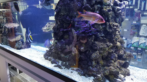 Tropical Fish Store «Beyond the Reef», reviews and photos, 205 W Golf Rd, Schaumburg, IL 60195, USA