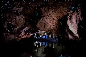 Te Anau Glowworm Caves - RealNZ image