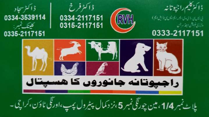 Rajputana Vets And Pets Hospital