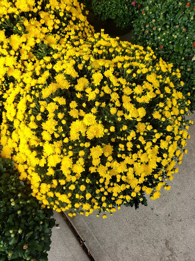 Supermarket «Stop & Shop», reviews and photos, 37 Enon St, Beverly, MA 01915, USA