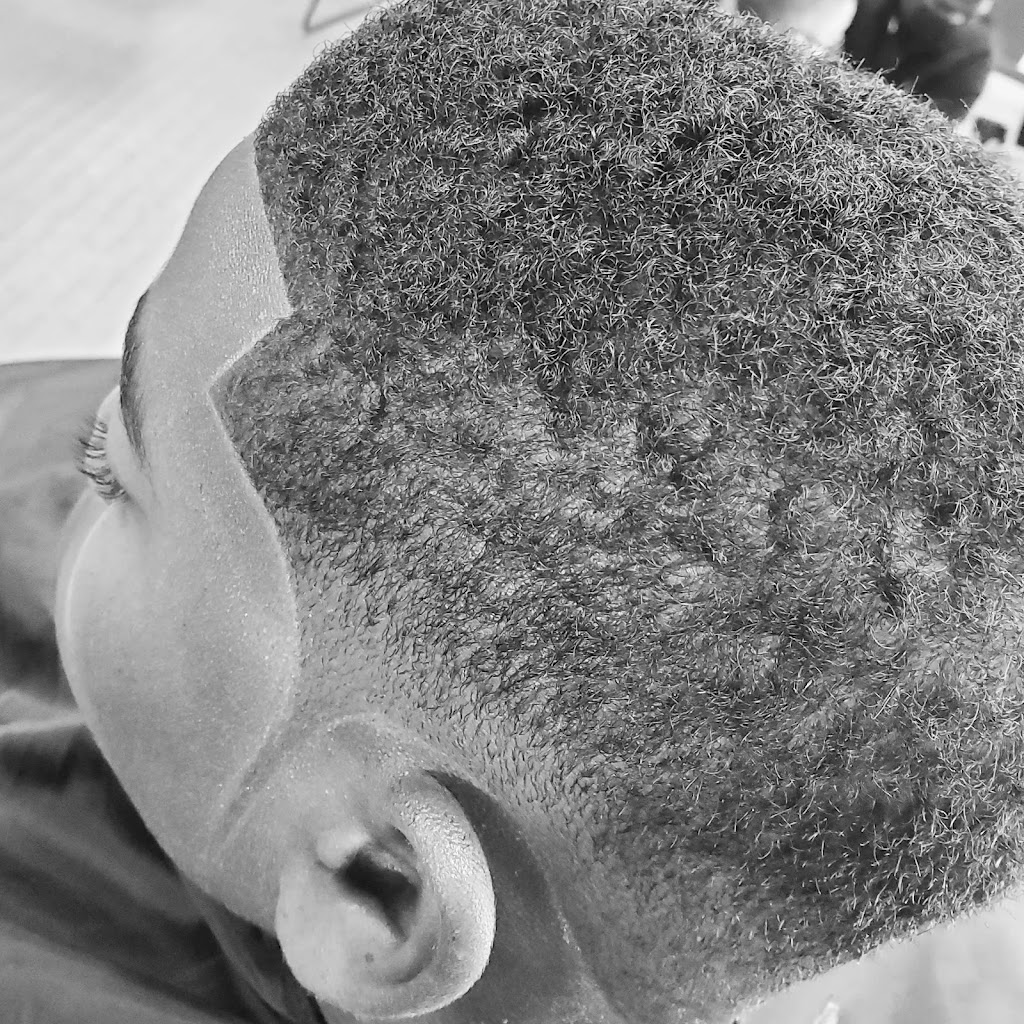 B & P Cuts 08069