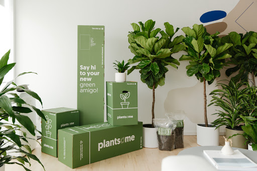 Plantsome Retail Inc.