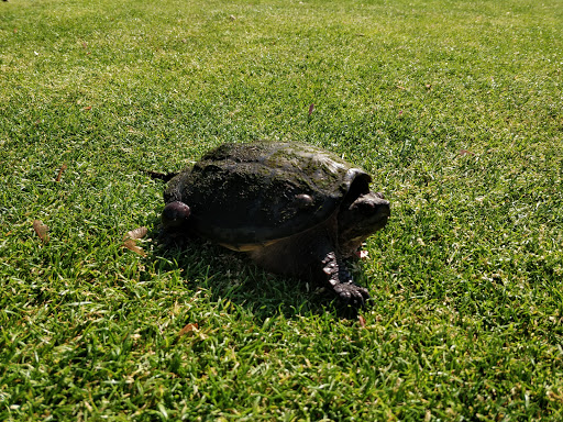 Golf Club «Braintree Municipal Golf Course», reviews and photos, 101 Jefferson St, Braintree, MA 02184, USA