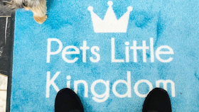 Pets Little Kingdom