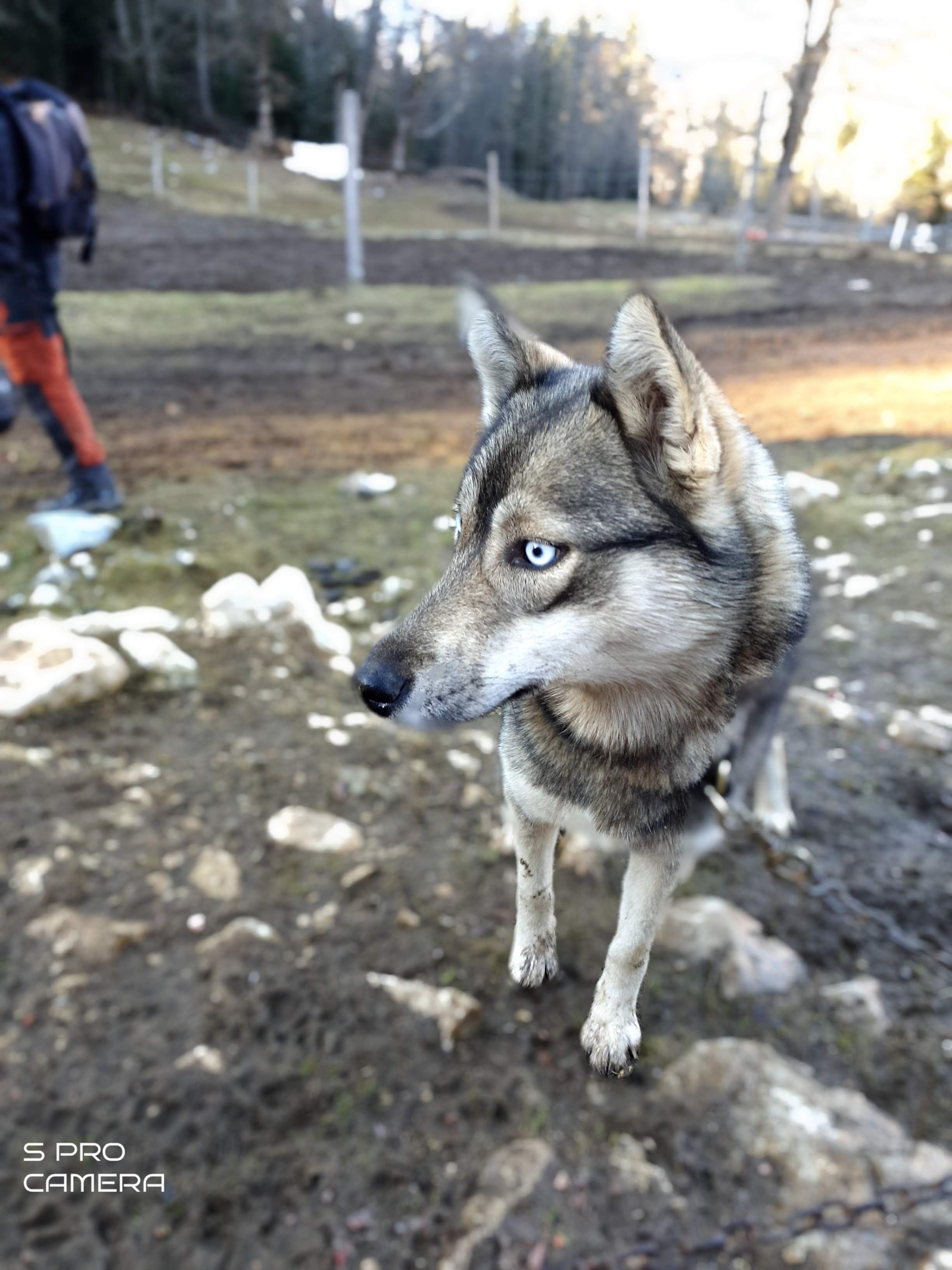 Photo n° 4 de l'avis de gwenaelle.a fait le 17/02/2020 à 19:58