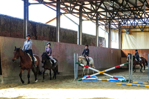 Equi-librarsi - Scuola di Equitazione a Pogliano Milanese