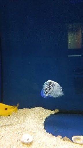 Pet Store «Movie Vault & PETropoliS live», reviews and photos, 1296 Anderson City Rd, Lawrenceburg, KY 40342, USA